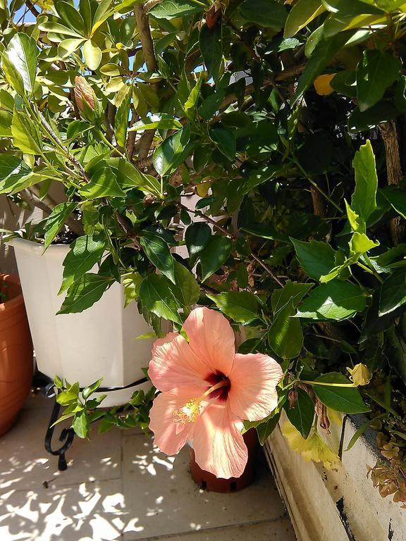 Nikita Traditional House Villa Chania  Bilik gambar