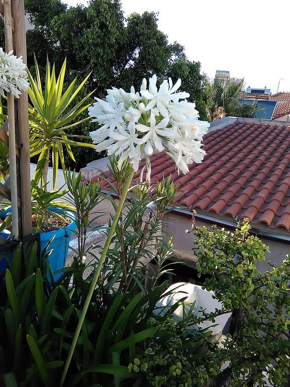 Nikita Traditional House Villa Chania  Bilik gambar